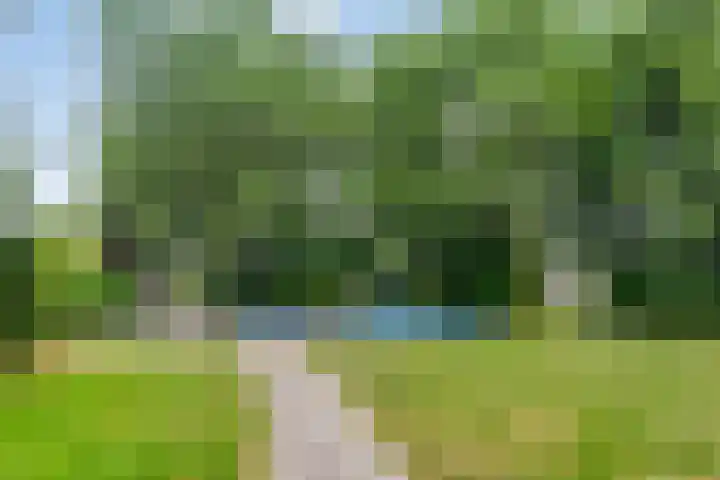 Statenhof 26 Goes thumbnail 44