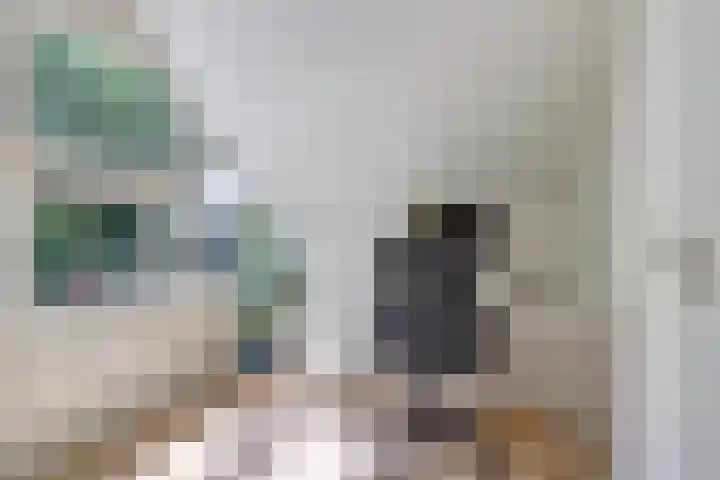 Statenhof 4 Goes thumbnail 29