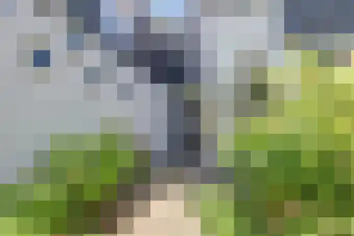 Statenhof 4 Goes thumbnail 34