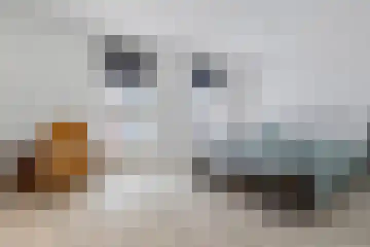 Statenlaan 10 Helmond thumbnail 15