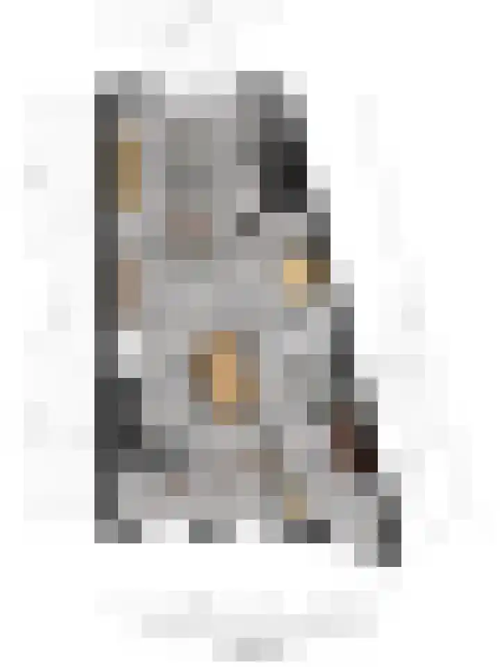 Statenlaan 10 Helmond thumbnail 37