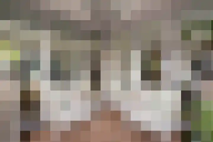 Statenlaan 108 Helmond thumbnail 30