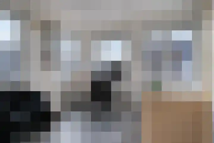 Statenlaan 108 Helmond thumbnail 37