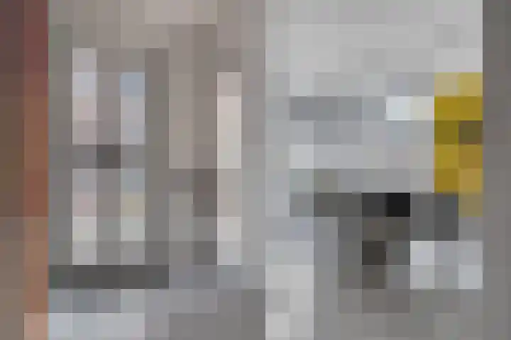 Statenlaan 108 Helmond thumbnail 8