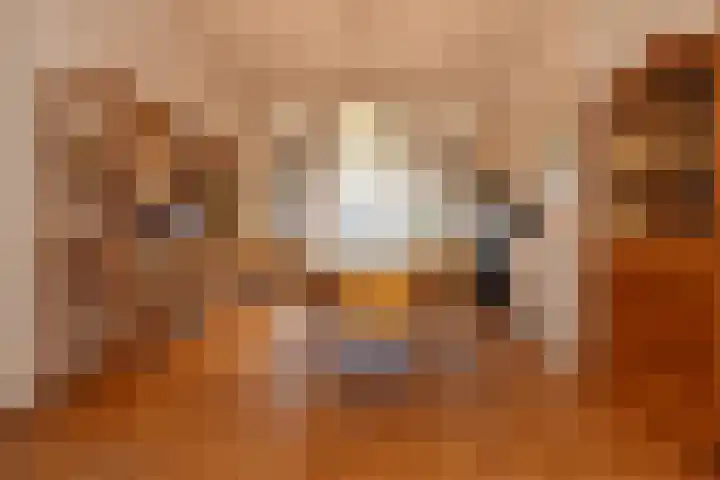 Statenlaan 109 Den Haag thumbnail 14