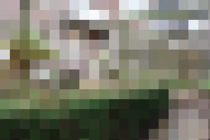 Statenlaan 109 Den Haag thumbnail 24