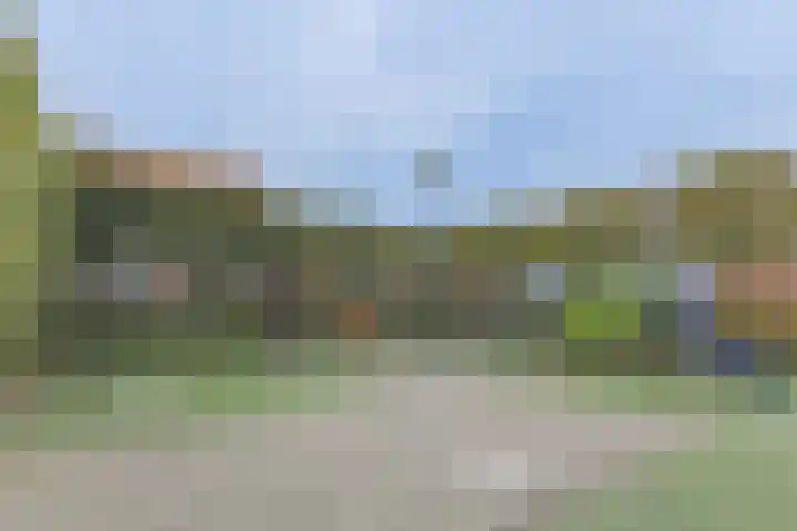 Statenlaan 19 Rijen