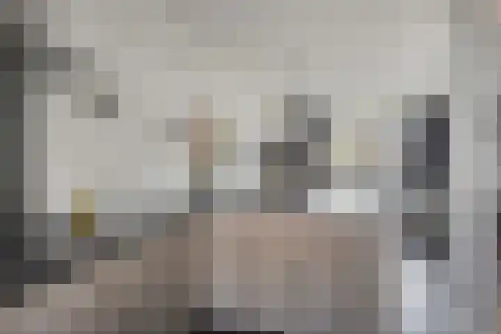 Statenlaan 213 Helmond thumbnail 13