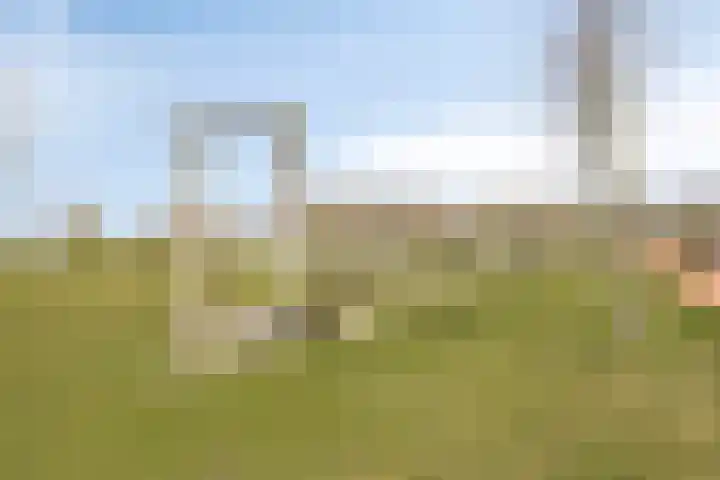 Statenlaan 213 Helmond thumbnail 34