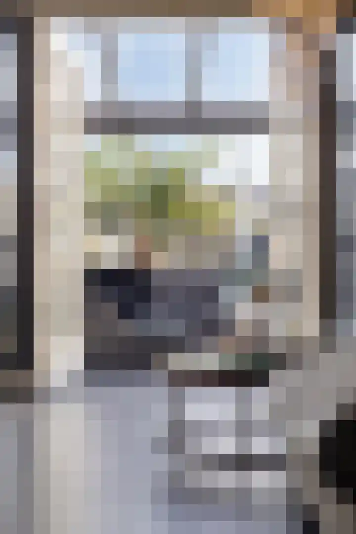 Statenlaan 213 Helmond thumbnail 9