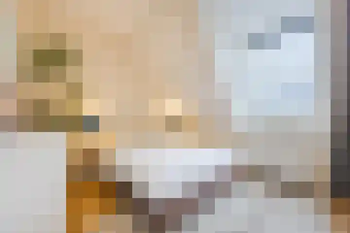 Statenlaan 25 Helmond thumbnail 33