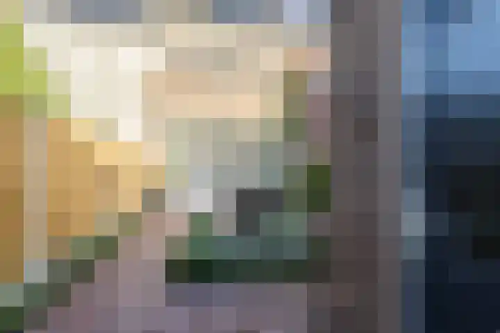 Statenlaan 25 Helmond thumbnail 48