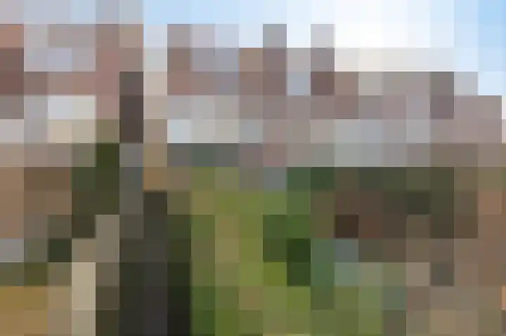 Statenlaan 41 Arnhem thumbnail 23