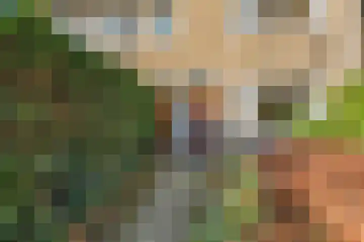Statenlaan 41 Arnhem thumbnail 5