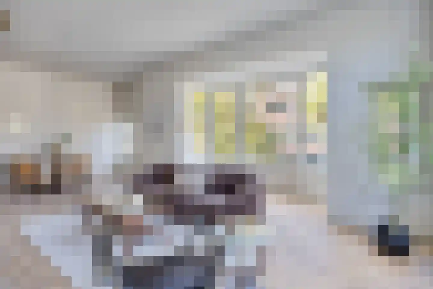 Statenlaan 44 Den Haag thumbnail 19