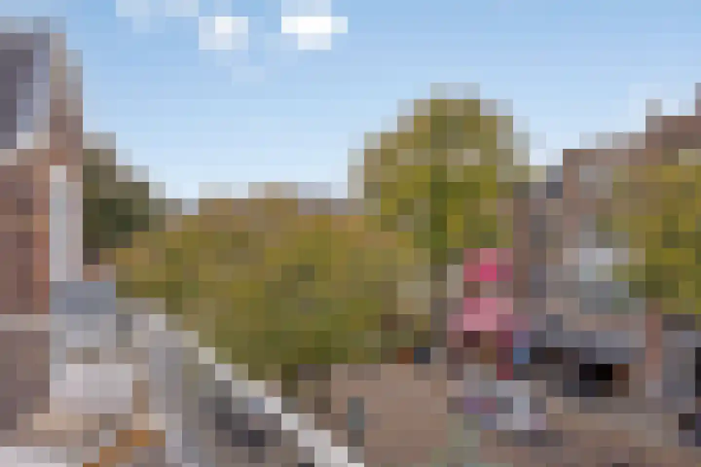 Statenlaan 44 Den Haag thumbnail 58