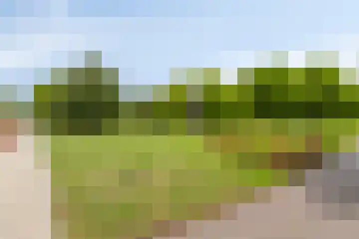 Statenlaan 44 Middelburg thumbnail 23