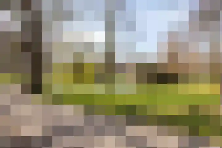 Statenlaan 45 Arnhem thumbnail 29