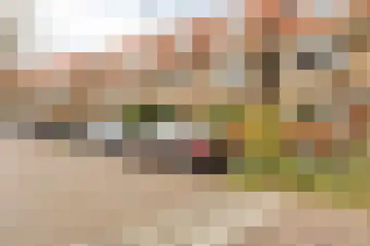 Statenlaan 45 Arnhem thumbnail 32