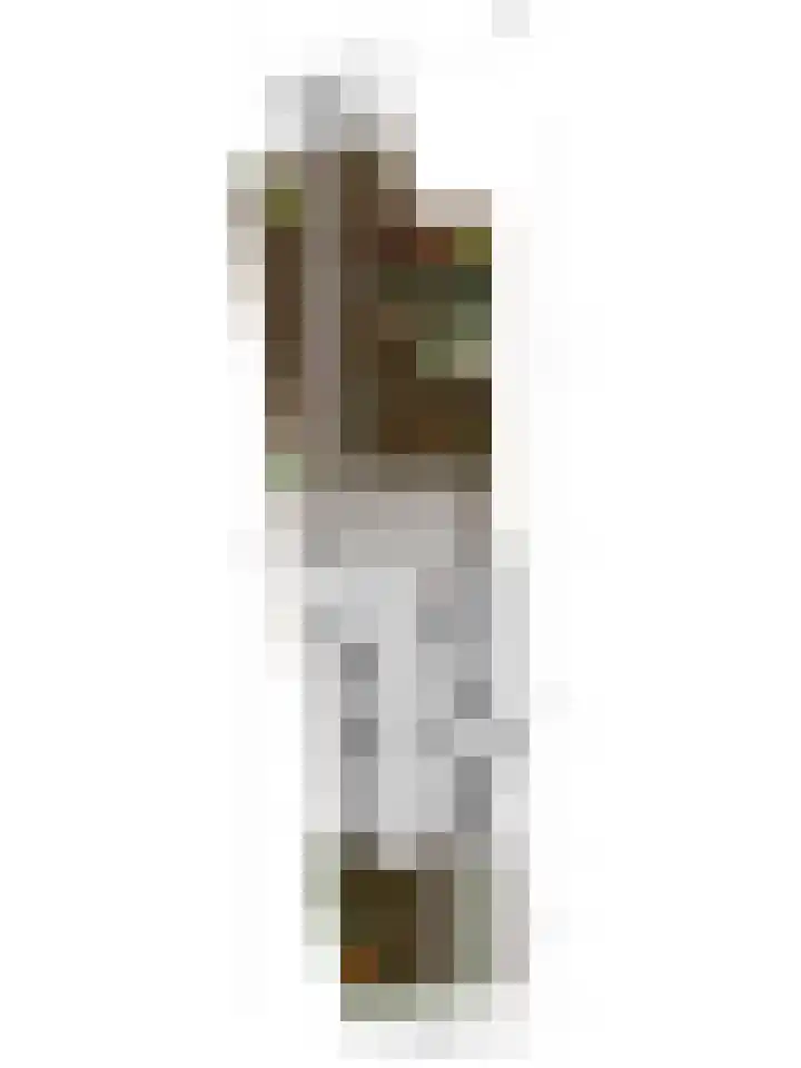 Statenlaan 45 Arnhem thumbnail 37