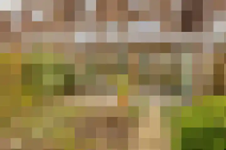 Statenlaan 45 Arnhem thumbnail 4
