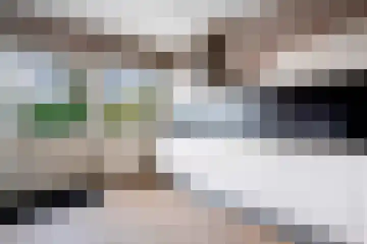 Statenlaan 61 Roden thumbnail 18