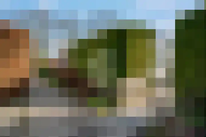 Statenlaan 61 Roden thumbnail 42