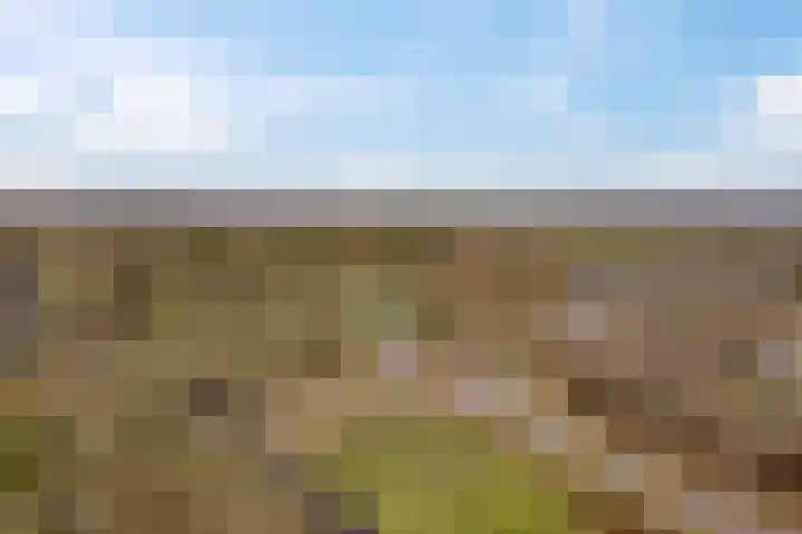 Statenlaan 61 Roden thumbnail 52