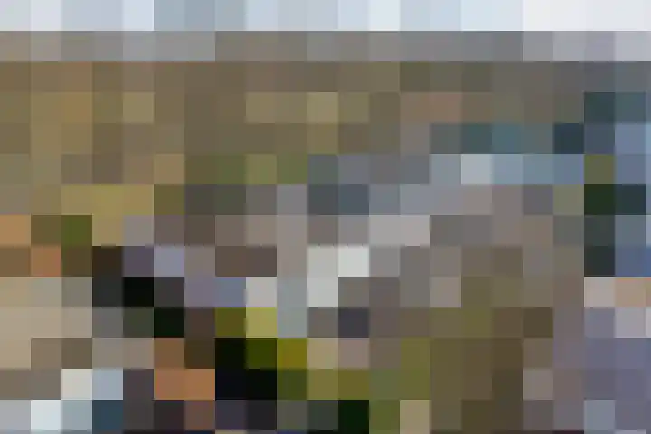 Statenlaan 61 Roden thumbnail 53
