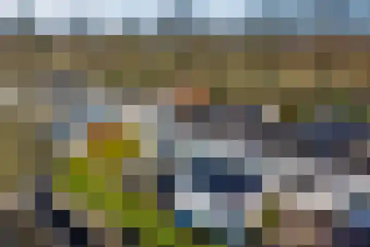 Statenlaan 61 Roden thumbnail 54