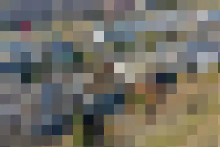 Statenlaan 61 Roden thumbnail 55