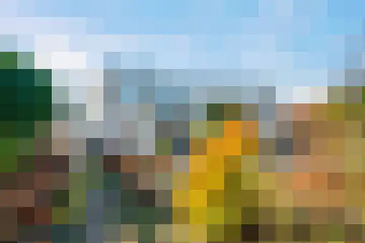 Statenlaan 61 Roden thumbnail 6