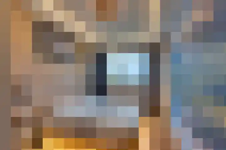 Statenlaan 64 Middelburg thumbnail 15