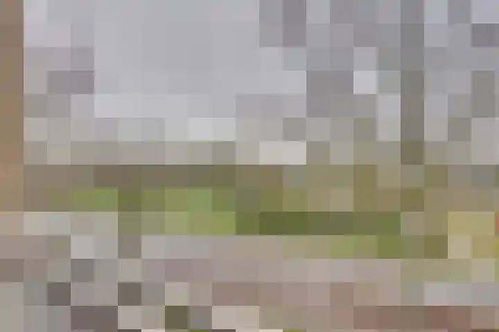 Statenlaan 64 Middelburg thumbnail 28