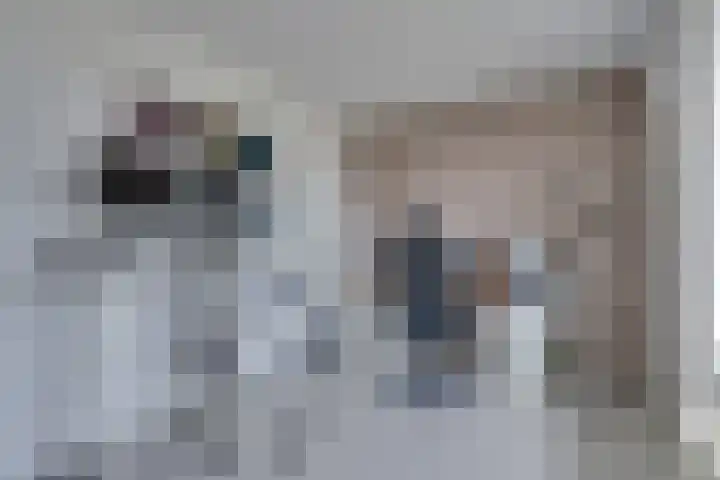 Statenlaan 64 Middelburg thumbnail 32