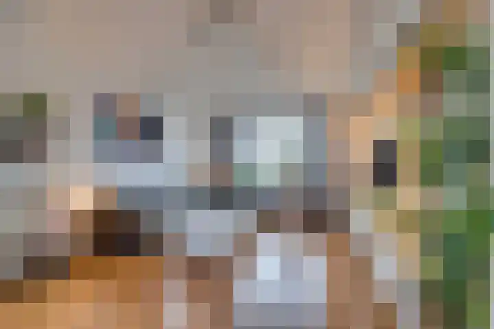 Statenlaan 64 Middelburg thumbnail 46
