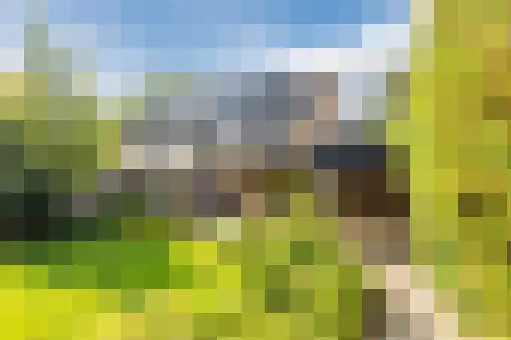 Statenlaan 69 Rijen foto 2