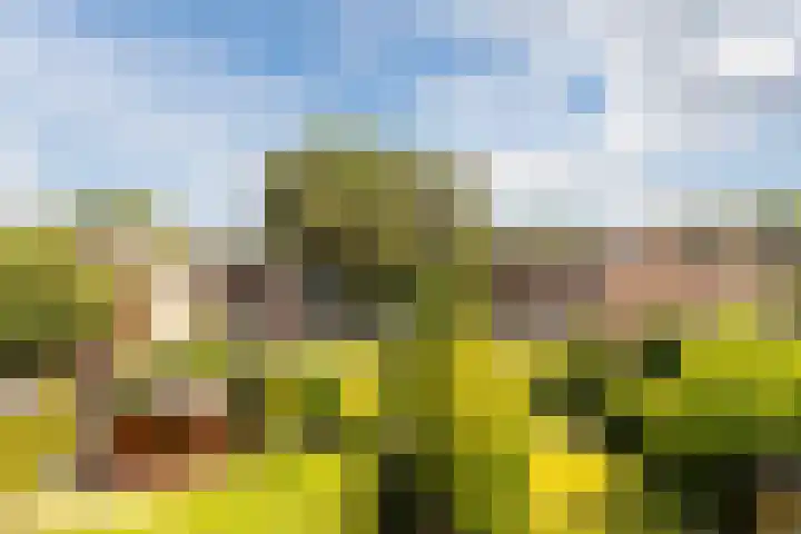 Statenlaan 69 Rijen thumbnail 20