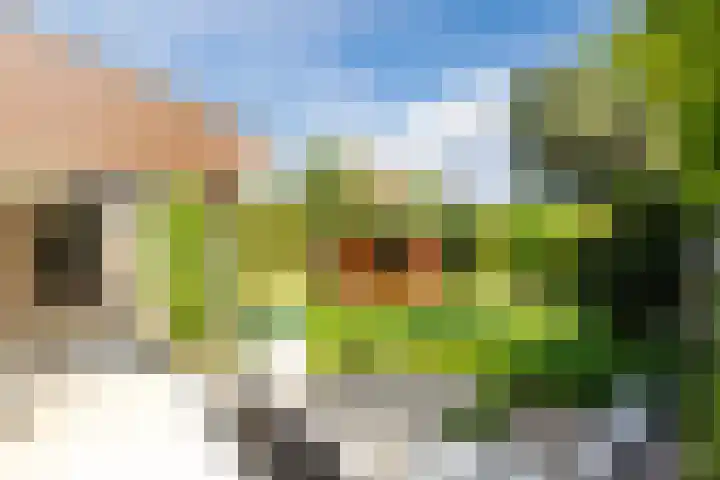 Statenlaan 69 Rijen thumbnail 23