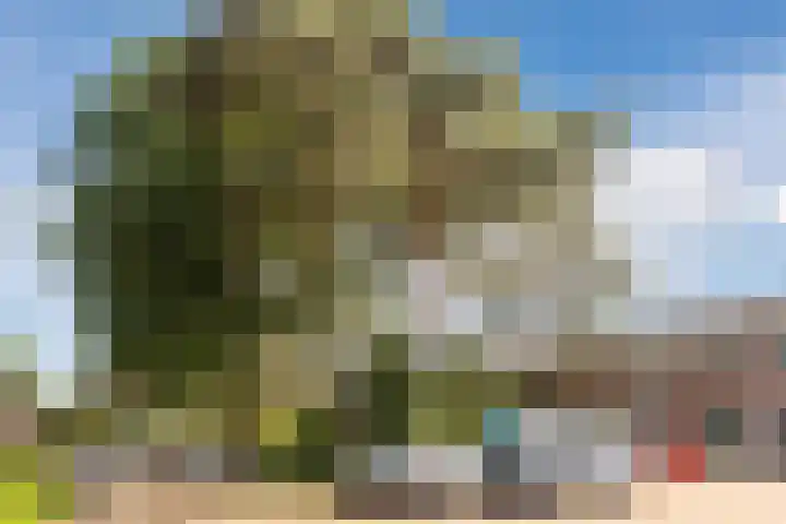 Statenlaan 69 Rijen thumbnail 43