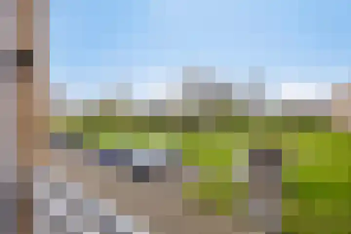 Statenlaan 70 Middelburg thumbnail 10