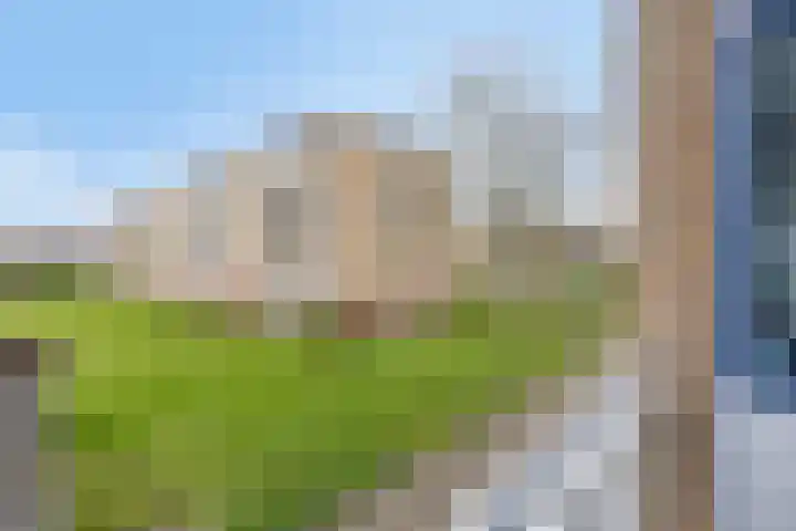 Statenlaan 70 Middelburg thumbnail 11
