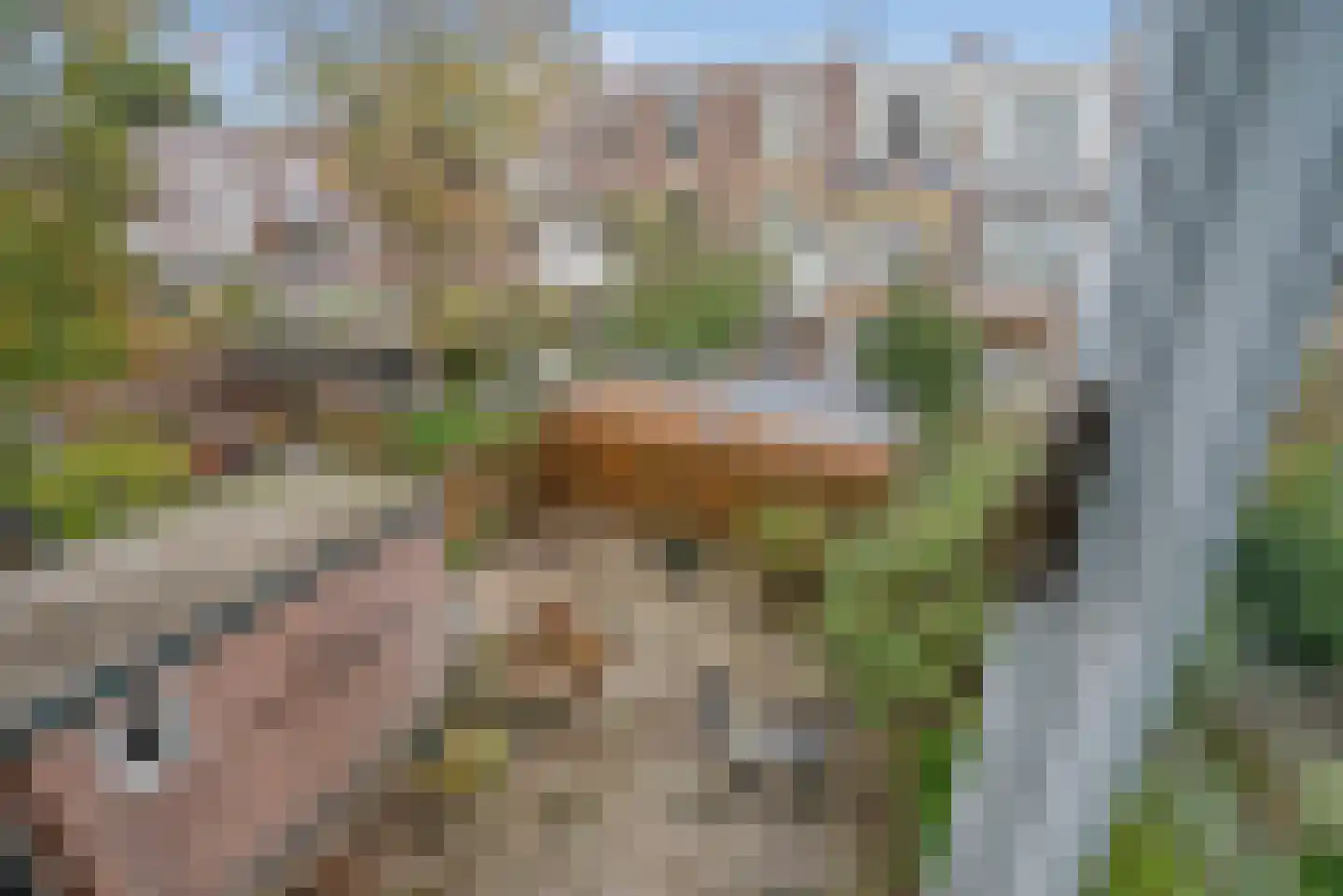 Statenlaan 75 Den Haag thumbnail 40