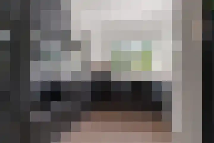 Statenlaan 9 Arnhem thumbnail 18