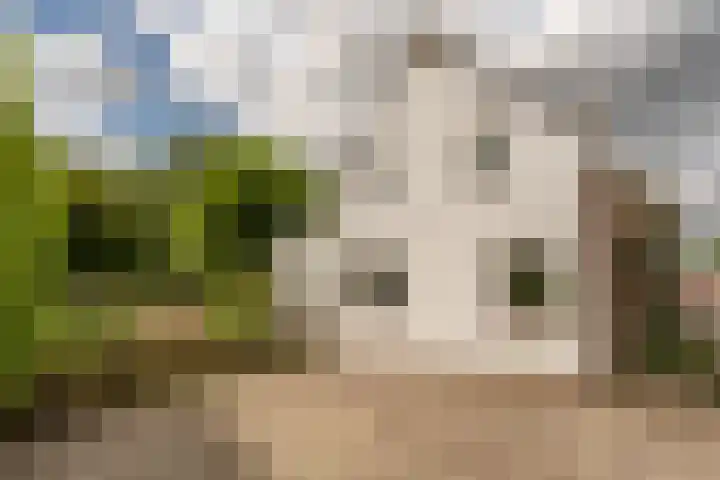 Statenlaan 9 Arnhem thumbnail 22