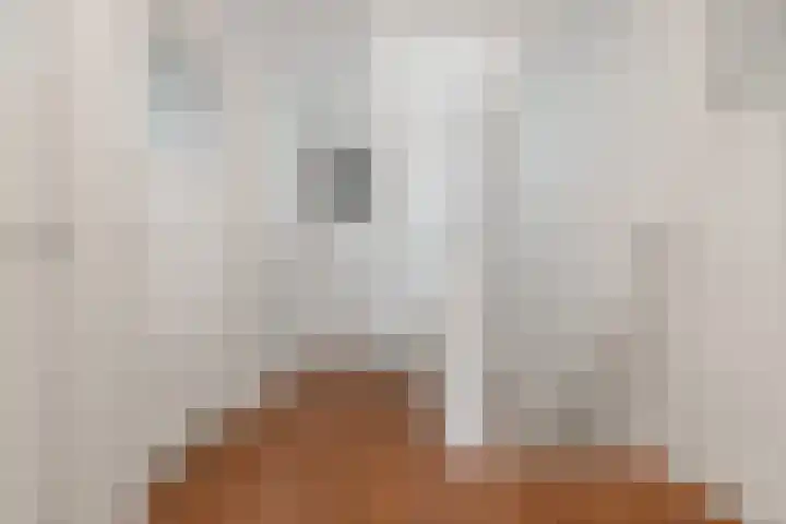 Statenlaan 9 Arnhem thumbnail 32