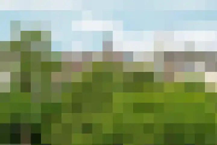 Statenlaan 9 Arnhem thumbnail 38
