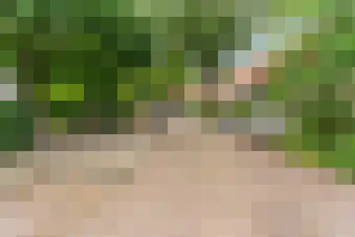 Statenlaan 9 Arnhem thumbnail 39
