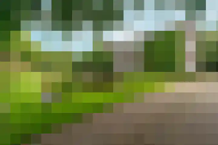 Statenlaan 9 Arnhem thumbnail 40
