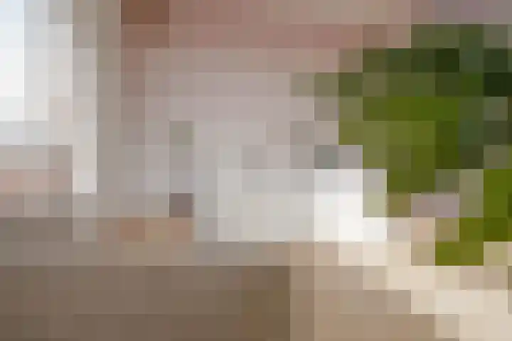 Statenplein 14 Den Haag thumbnail 93
